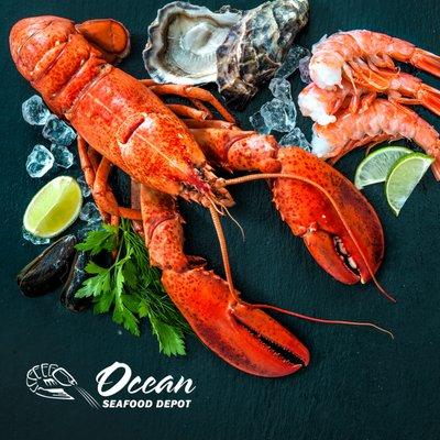 OCEAN SEAFOOD DEPOT INC