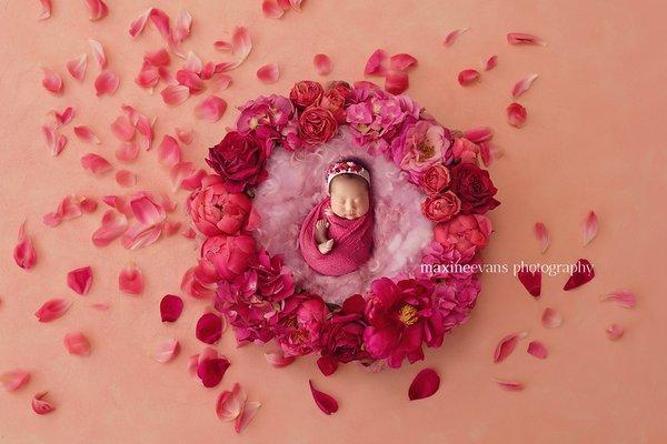 Newborn Photo Shoot
 www.maxineevansphotography.com #newbornphotography