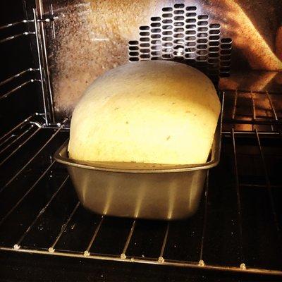 Bread fresh baked for our from scratch sandwiches