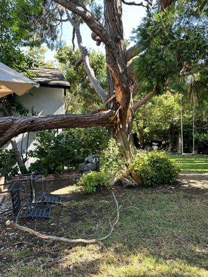 Large broken branch on patio