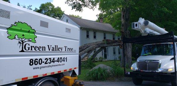 Green Valley Tree is there for you during your tree emergencies!