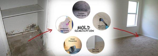 Mold removal from A to Z