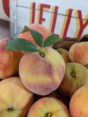 Delicious local peaches from Sam Hudson in Six Mile!