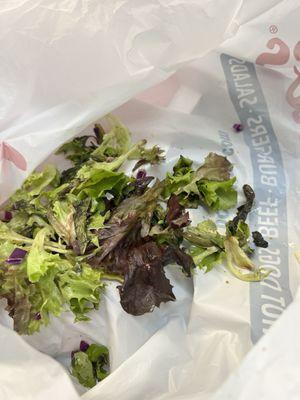 Rotten lettuce in the salads