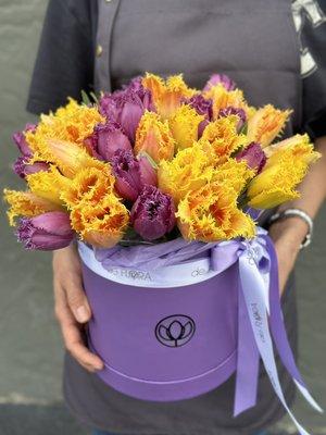 Purple and yellow mix of tulips