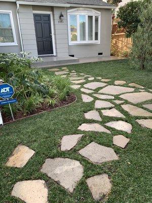 Stones, new lawn, and willow tree.