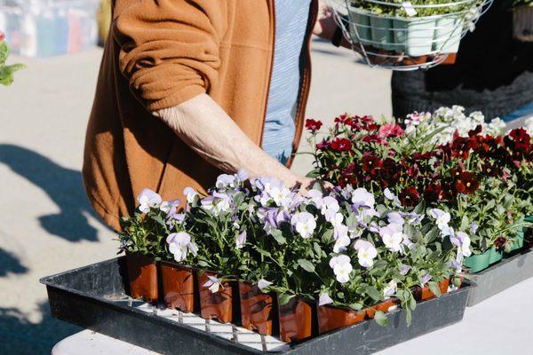 Gardening Workshop at SAMLARC