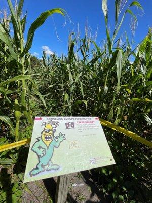 Corn maze activity