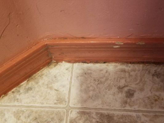 Laundry room baseboards and floor.