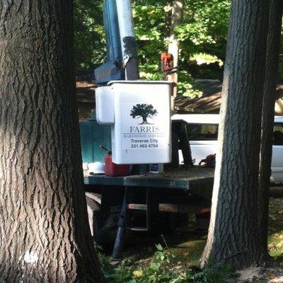 Closeup of our bucket logo between two large Oak Trees being removed.