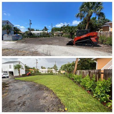 Before and after 8 pallets of sod