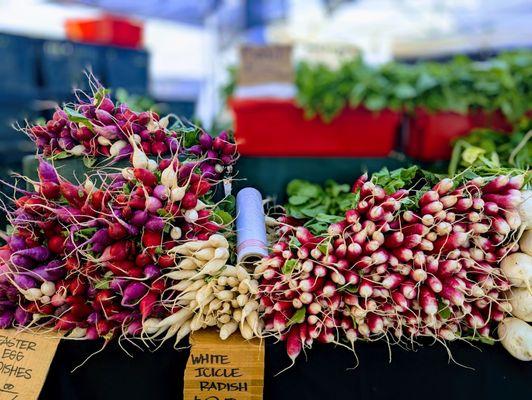 Larchmont Farmers Market