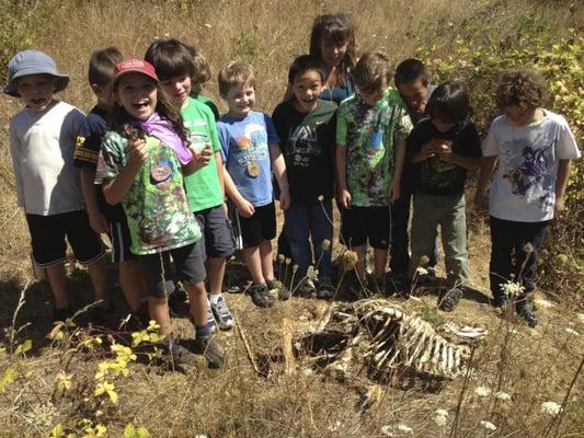 The cycle of life. Youth stumbling upon a complete deer carcass in the wild.