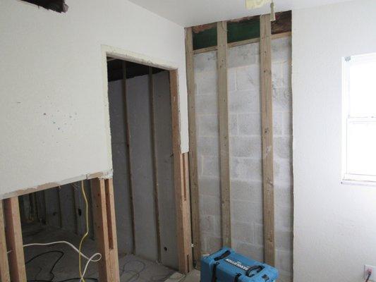 Mold Remediation