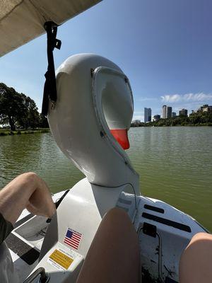 Swan boat with view of downtown