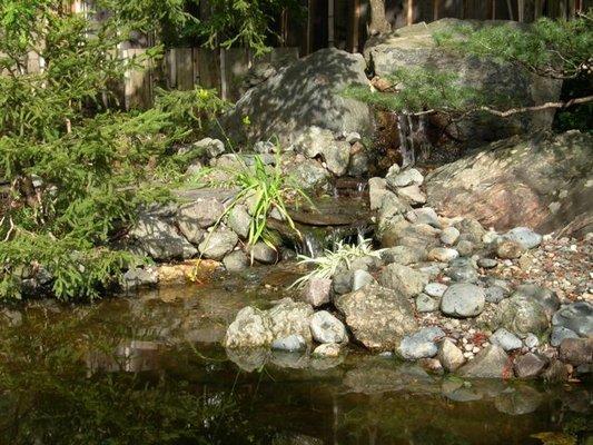 Sleep hypnotherapy Marin County, CA | The office is surrounded by a Koi fish pond and Japanese Garden setting