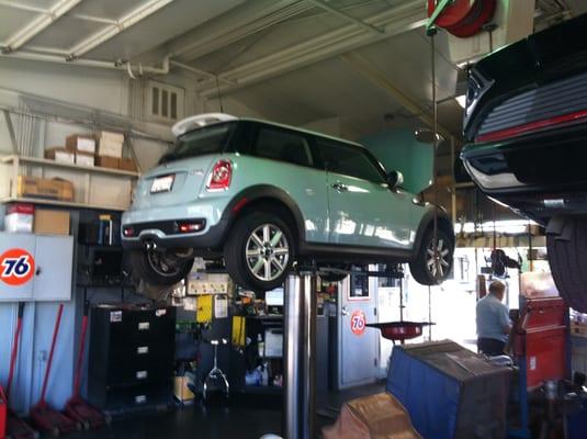 A place where minis and Pontiacs get along.