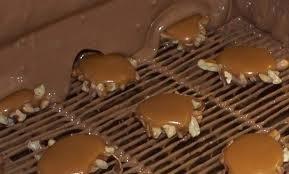 Armadillos being coated in chocolate.