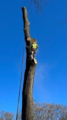 JC & G Tree Service