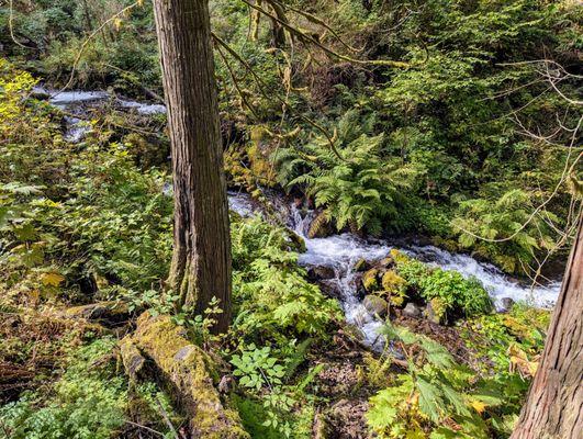 Wahkeena Falls trail at the Columbia River Gorge National Scenic Area in Corbett, Oregon. Multnomah County. Breathtaking and beautiful.