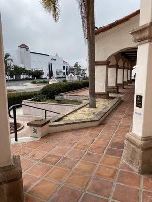 This is the entry with dead plants, broken concrete which is not what you expect for a medical building.