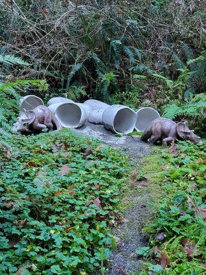 Prehistoric Gardens