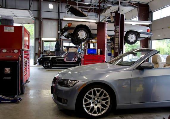 1955 MB 300SL "Gullwing," 1988 MB 560SL (R107 Chassis), and a 2009 BMW 328i Convertible (E93)