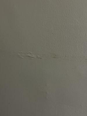 This is from the kitchen idk if the just I don't know if they only apply paint because the paint peels off.