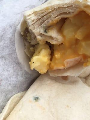 Mold on the tortilla and the inside as well