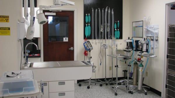 This is the part of our treatment room where we do professional dental cleanings and all of our anesthesia and monitoring storage.