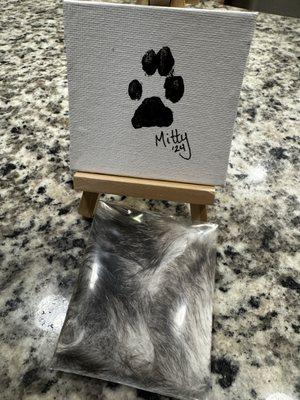 Mitty's paw print and her fur clipping.