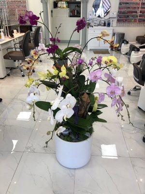 Beautiful salon, fresh orchids