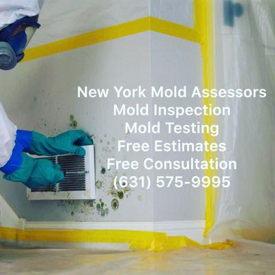 New York Mold Assessors Mold Inspection Information