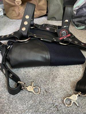 Harness and pants