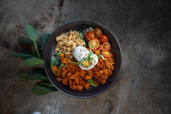 Organic Harvest Cobb salad made w/ local greens, sweet potato, coconut 'bacon', hard boiled egg, spicy white bean, tomato + tahini dressing!