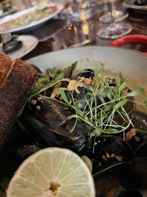 Curried Mussels