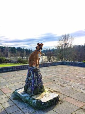 Off Leash K9 Training