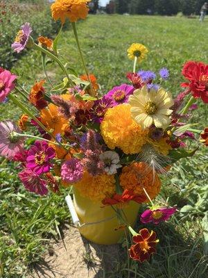 Filled bucket of flowers