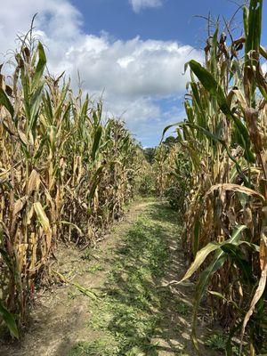 Belmont  Pumpkin Farm