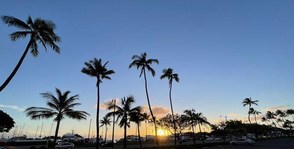 Wide angle of sunset over Kewalo Basin Harbor.