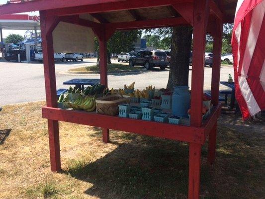 Fresh Strawberries, Blueberries and much more!!