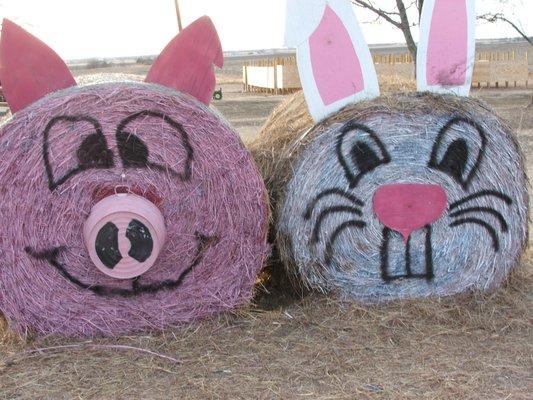 Haybales