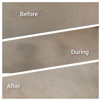 Carpet Cleaning