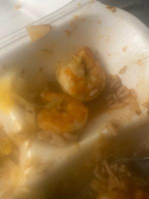 Jerk shrimp extra old!