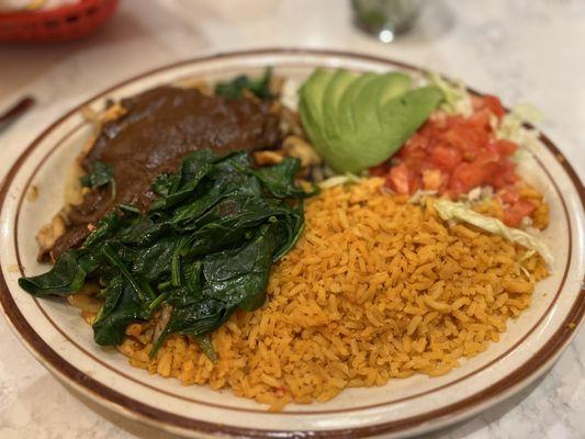 Grilled Chicken with mole on top.