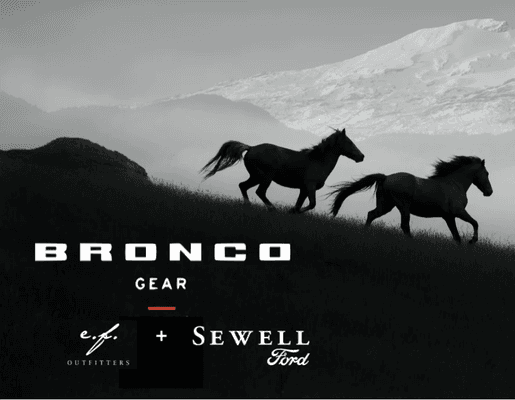 https://efoutfitters.com/collections/bronco-gear