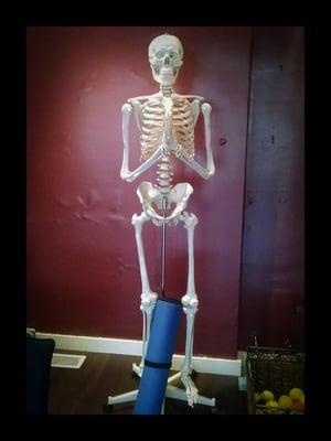 Studio skeleton