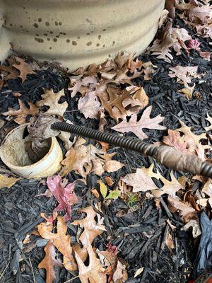 The Pipe Doctor Plumbing & Drain Cleaning Services