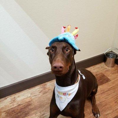 Yappy Birthday time!