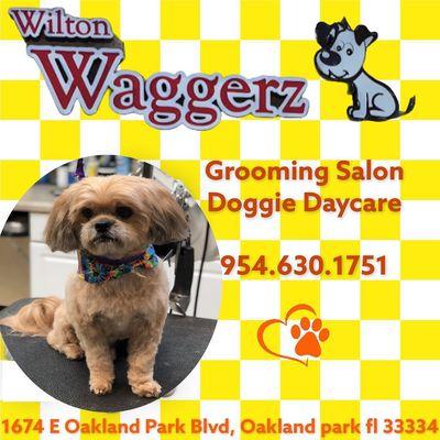 Wilton Waggerz